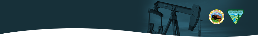 NFLSS Decorative Header